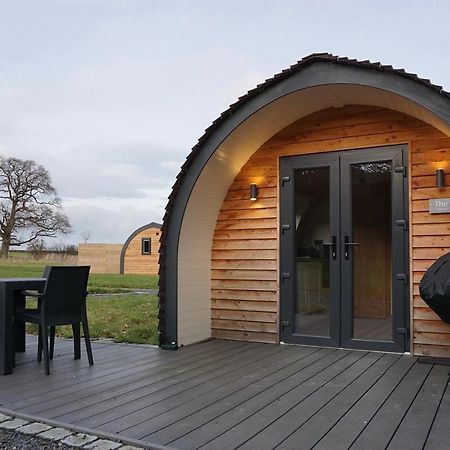 Habberley Glamping Pods Hotel Shrewsbury Eksteriør billede