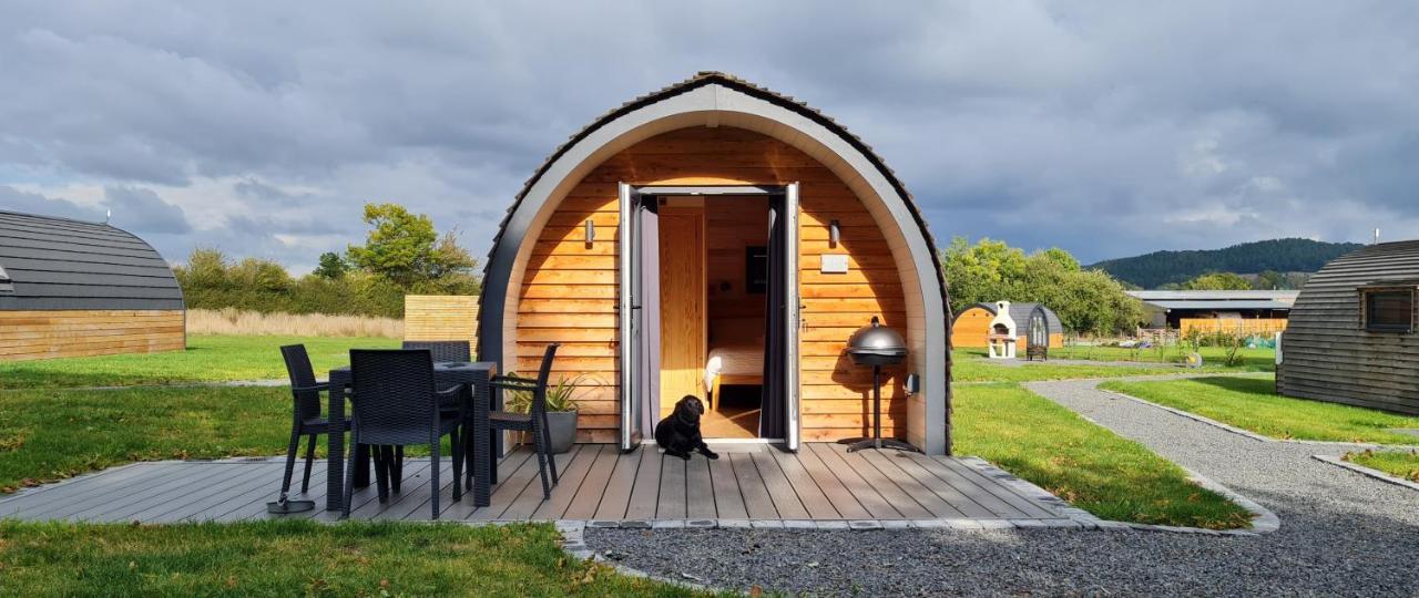 Habberley Glamping Pods Hotel Shrewsbury Eksteriør billede