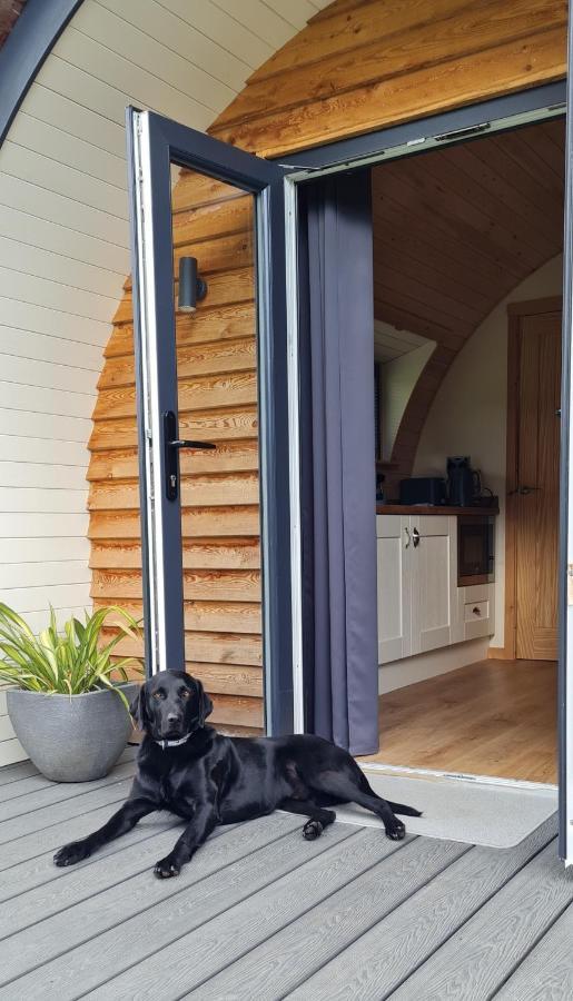 Habberley Glamping Pods Hotel Shrewsbury Eksteriør billede